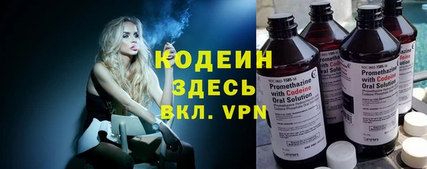прущие грибы Гусиноозёрск