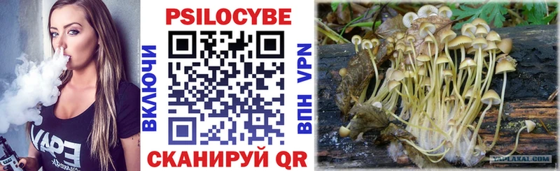 купить   Рыльск  Псилоцибиновые грибы прущие грибы 